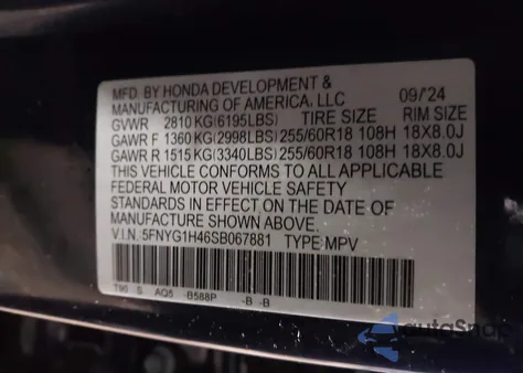 2025 Honda Pilot Ex-L z USA, uszkodzony, nr VIN 5FNYG1H46SB067881